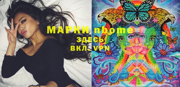 ГАЛЛЮЦИНОГЕННЫЕ ГРИБЫ Ладушкин