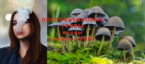 ГАЛЛЮЦИНОГЕННЫЕ ГРИБЫ Ладушкин